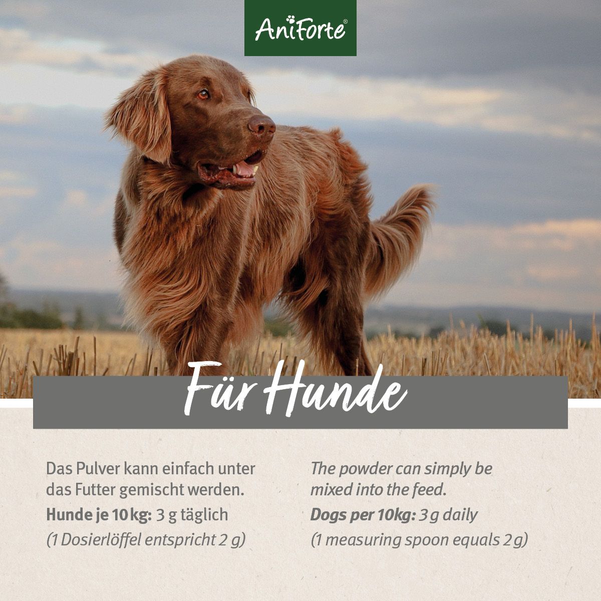AniForte 4in1 Complete Dog