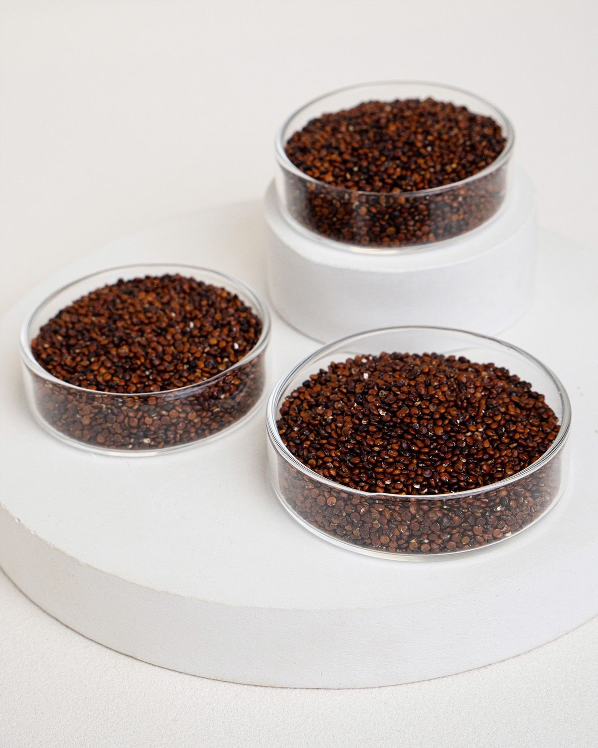 Drei runde, transparente Schalen mit rotem Quinoa auf weißem Untergrund. Zwei Schalen sind übereinander angeordnet.