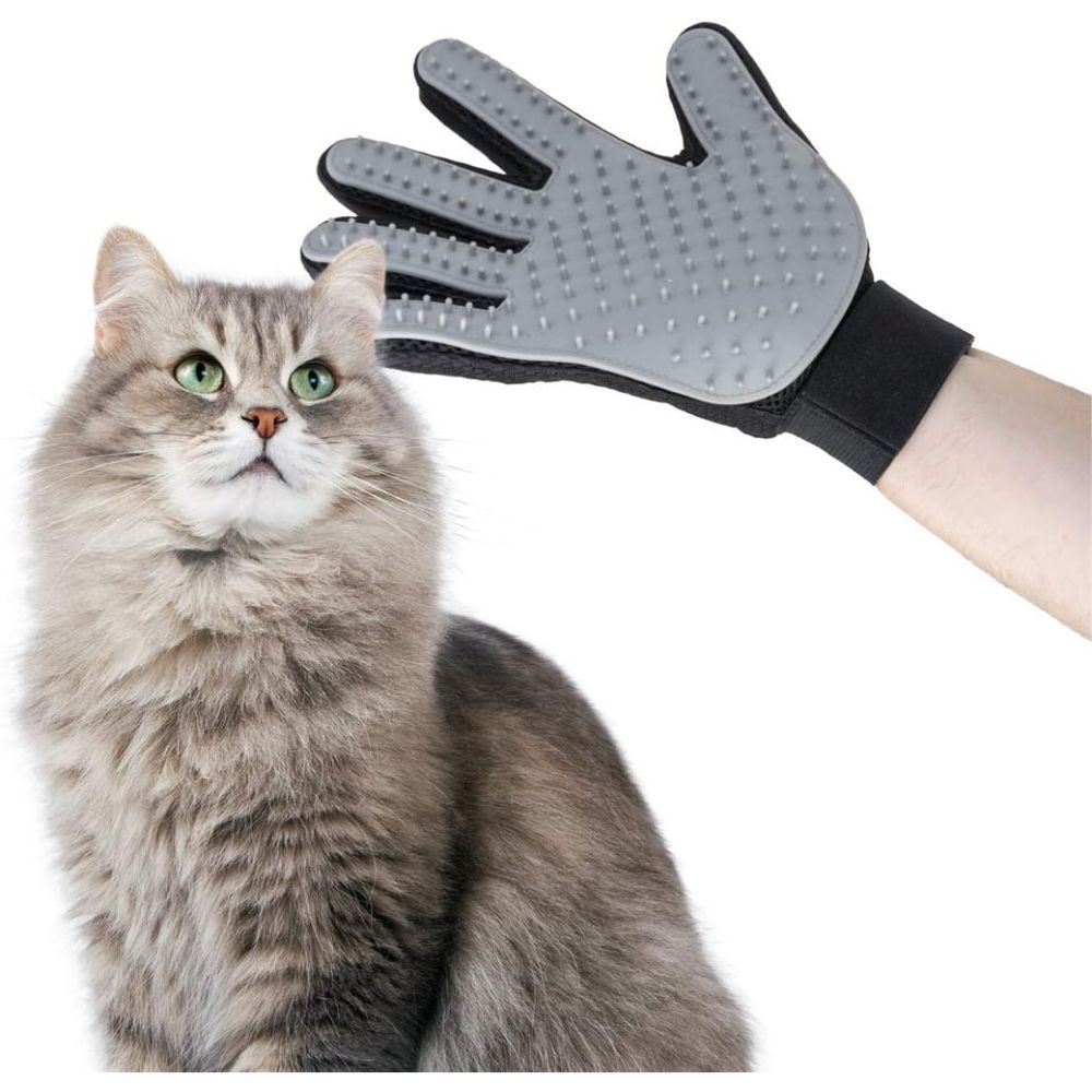 Grauer Massagehandschuh auf einer Katze. Schwarzes Handgelenkband. Graue Katze mit grünen Augen. Für Haustiere.