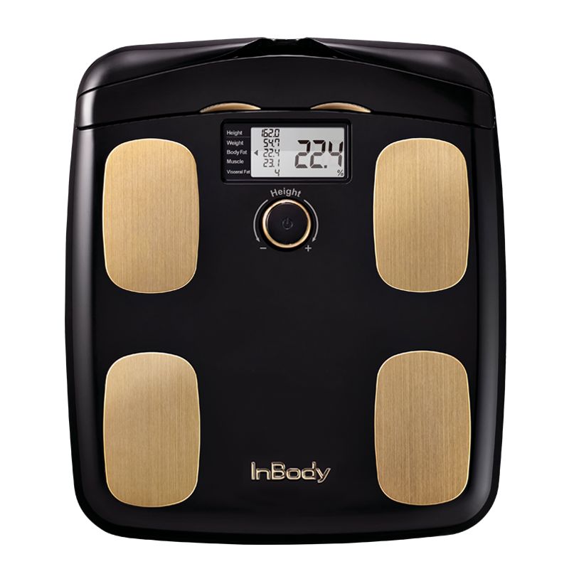 InBody DIAL H20B (schwarzgold) Körperanalysewaage 1 St Shop Apotheke