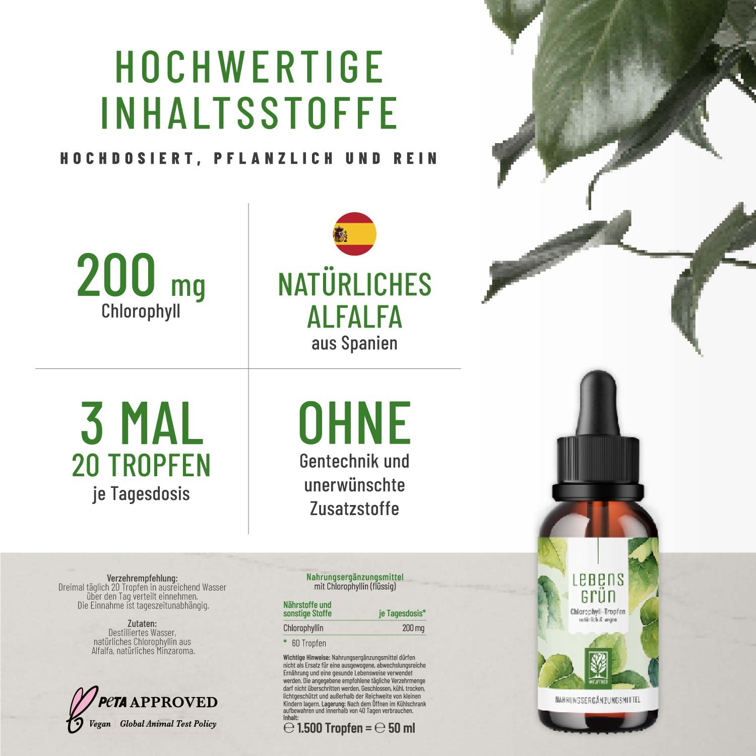 Produktflasche und Infografik. Enthält 200mg Chlorophyll, natürliches Alfalfa aus Spanien. 3x20 Tropfen pro Tagesdosis. Ohne Gentechnik.