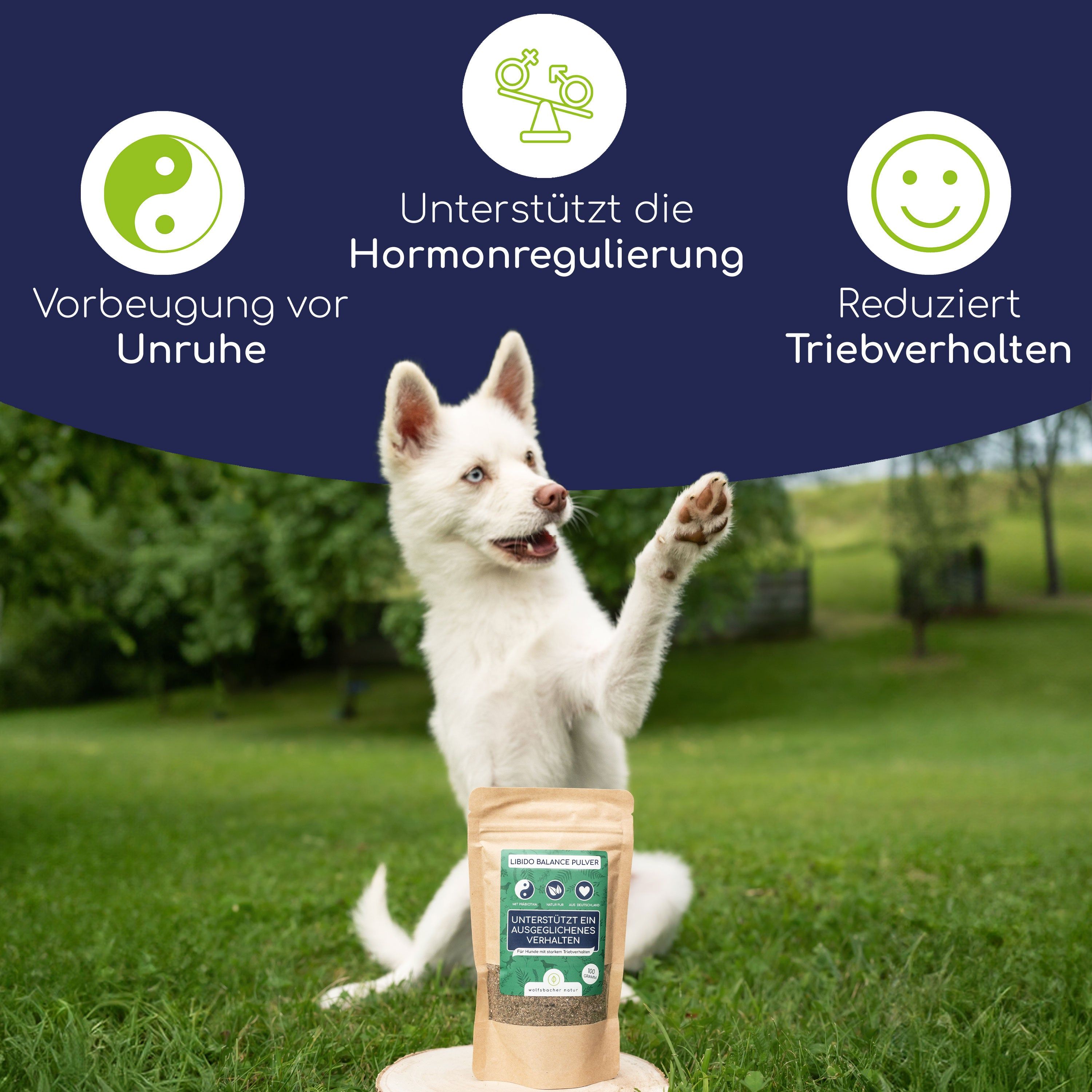 Wolfsbacher Natur Libido Balance Pulver