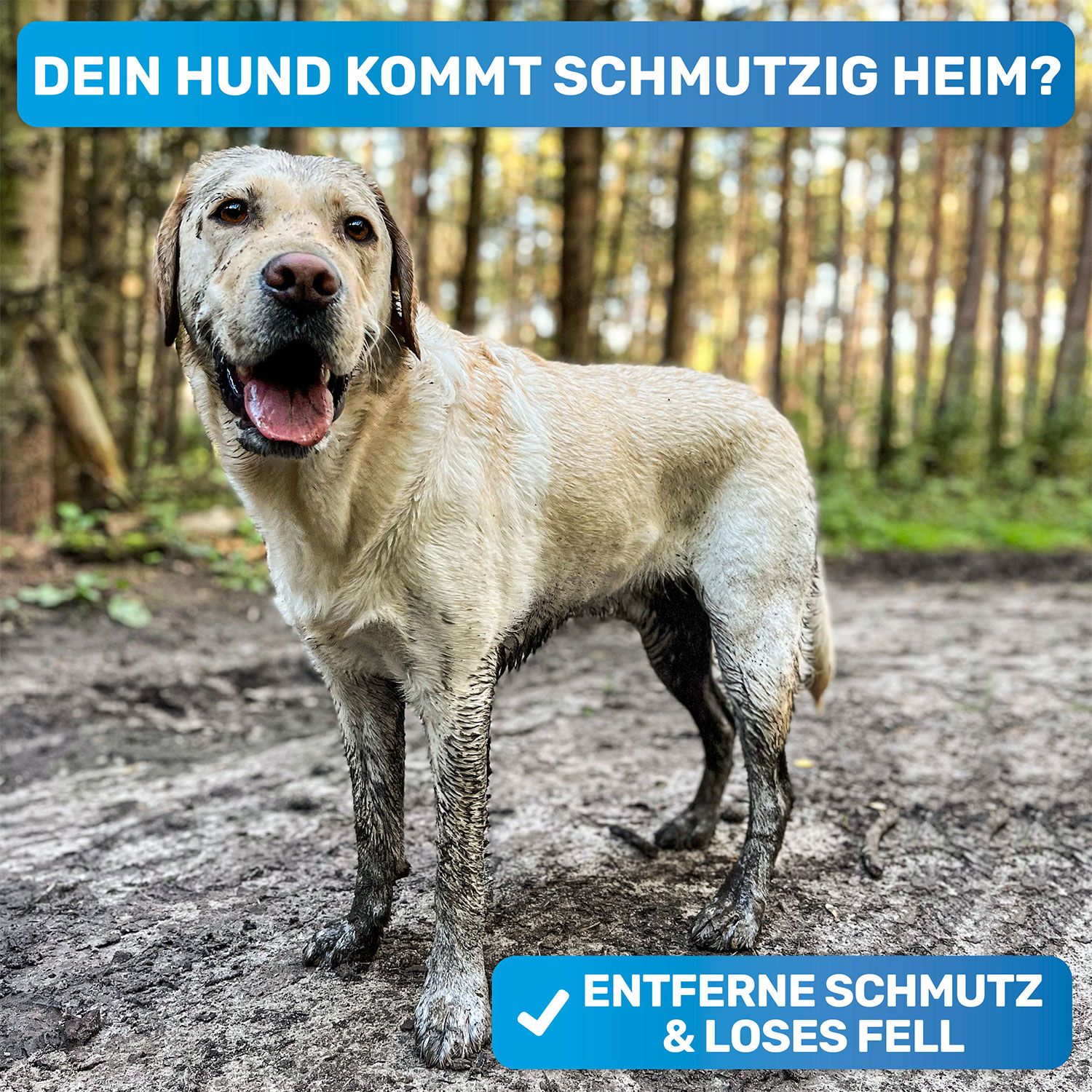 BluePet Befüllbare Badebürste für Hundeshampoo