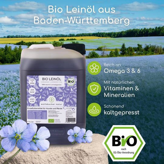 Wolfsbacher Natur Bio Leinöl 5 l Öl