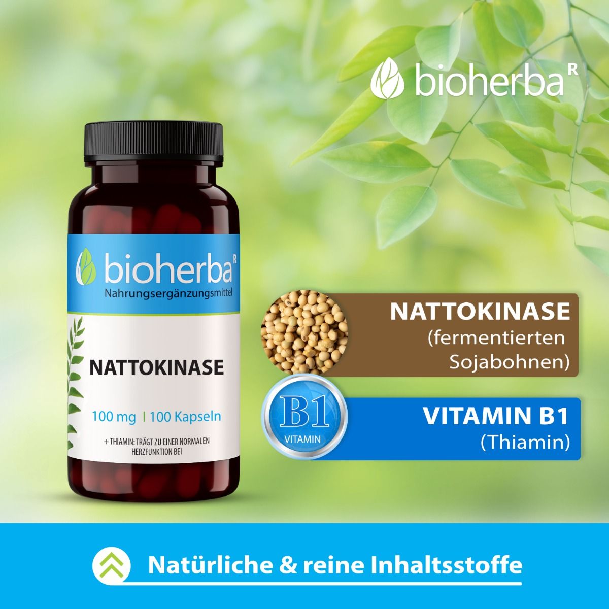 Braune Flasche mit schwarzen Deckel. Enthält Nattokinase Kapseln. 100 Kapseln. Marke: Bioherba. Mit Sojabohnen.