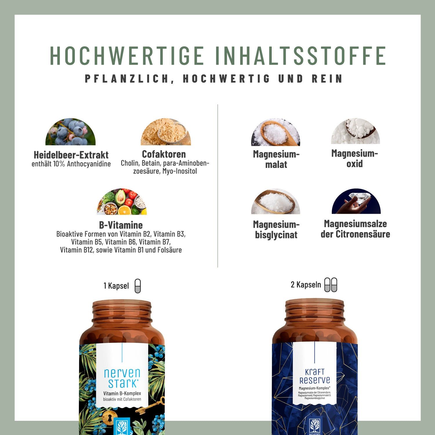 KRAFTRESERVE NERVENSTARK Paket - NATURTREU®