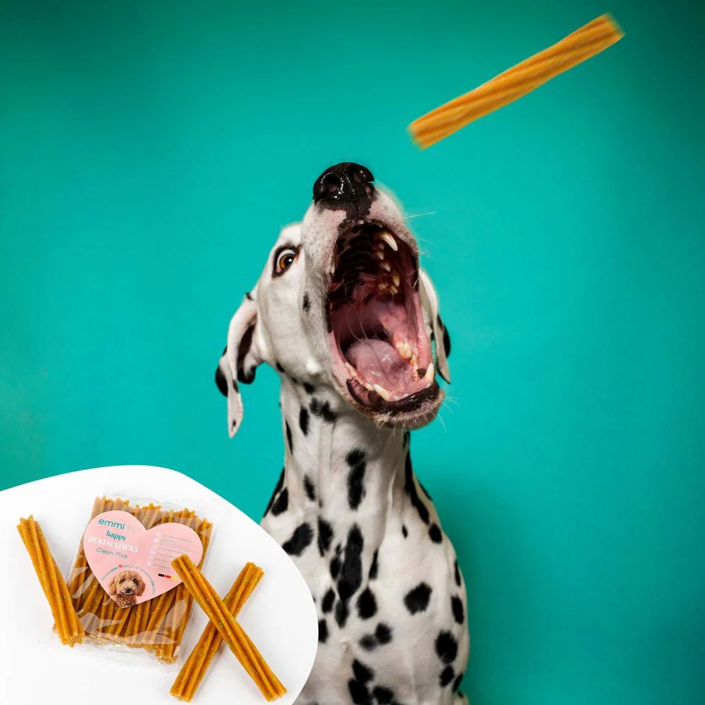 Ein Dalmatiner öffnet das Maul, ein Stick fliegt. Sticks in Verpackung.