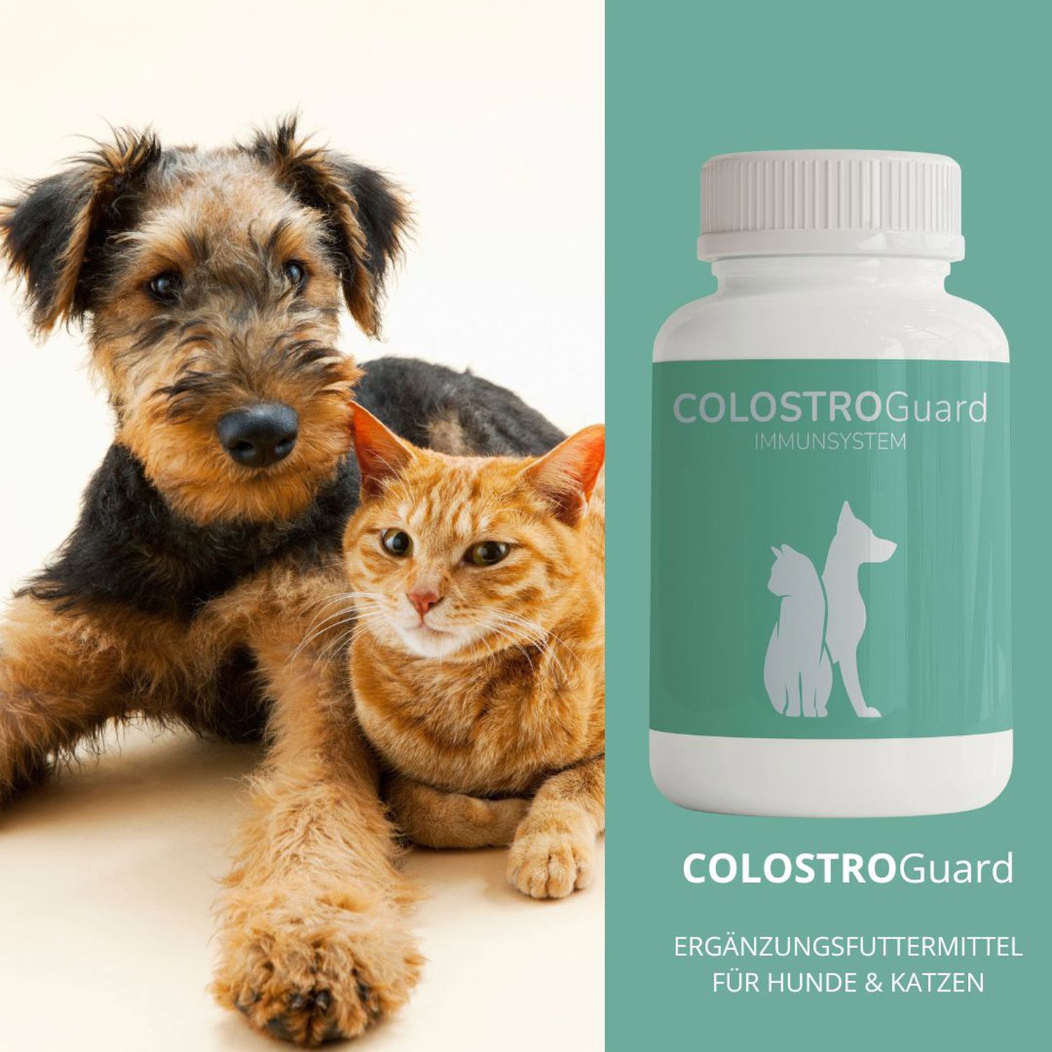 reboVet COLOSTROGuard