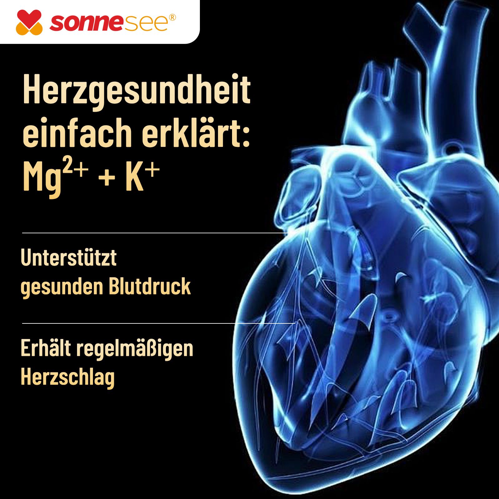 Abbildung eines menschlichen Herzens mit Text über Herzgesundheit, Mg2+ und K+.