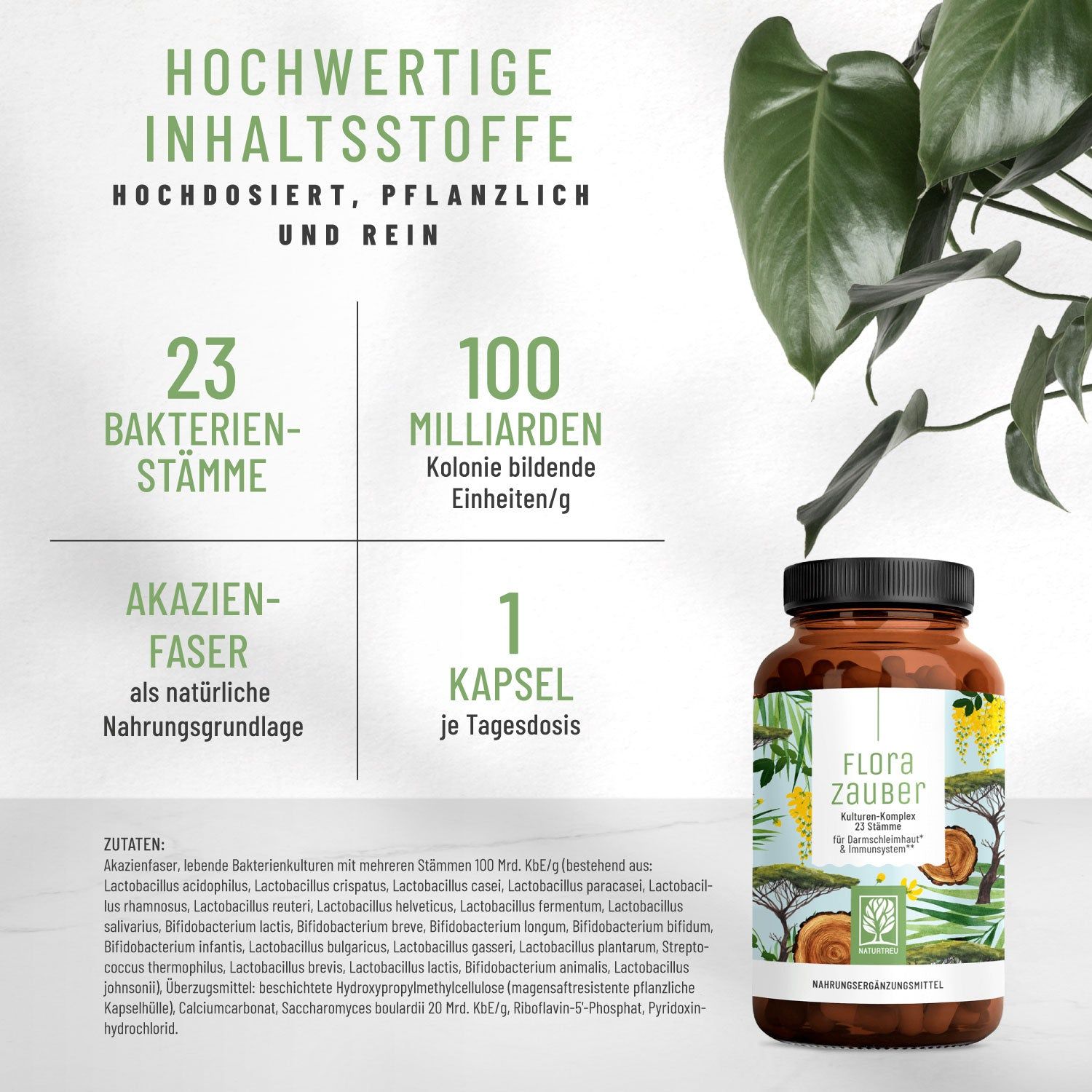 Produktflasche mit Text und Diagramm. 23 Bakterienstämme, 100 Milliarden Kolonien, Akazienfaser, 1 Kapsel. Text: Hochwertige Inhaltsstoffe.