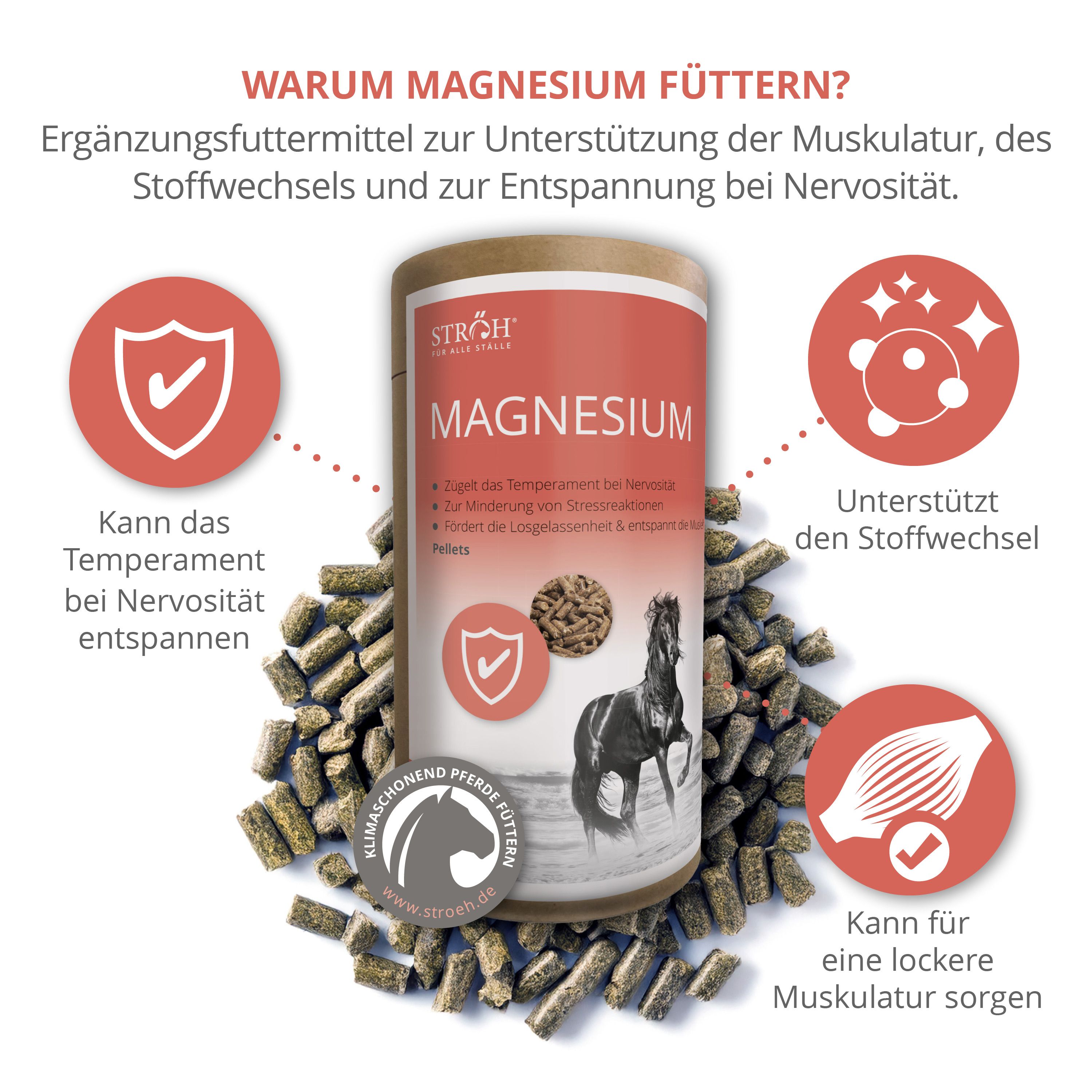 STRÖH Magnesium  Feedbox Dose
