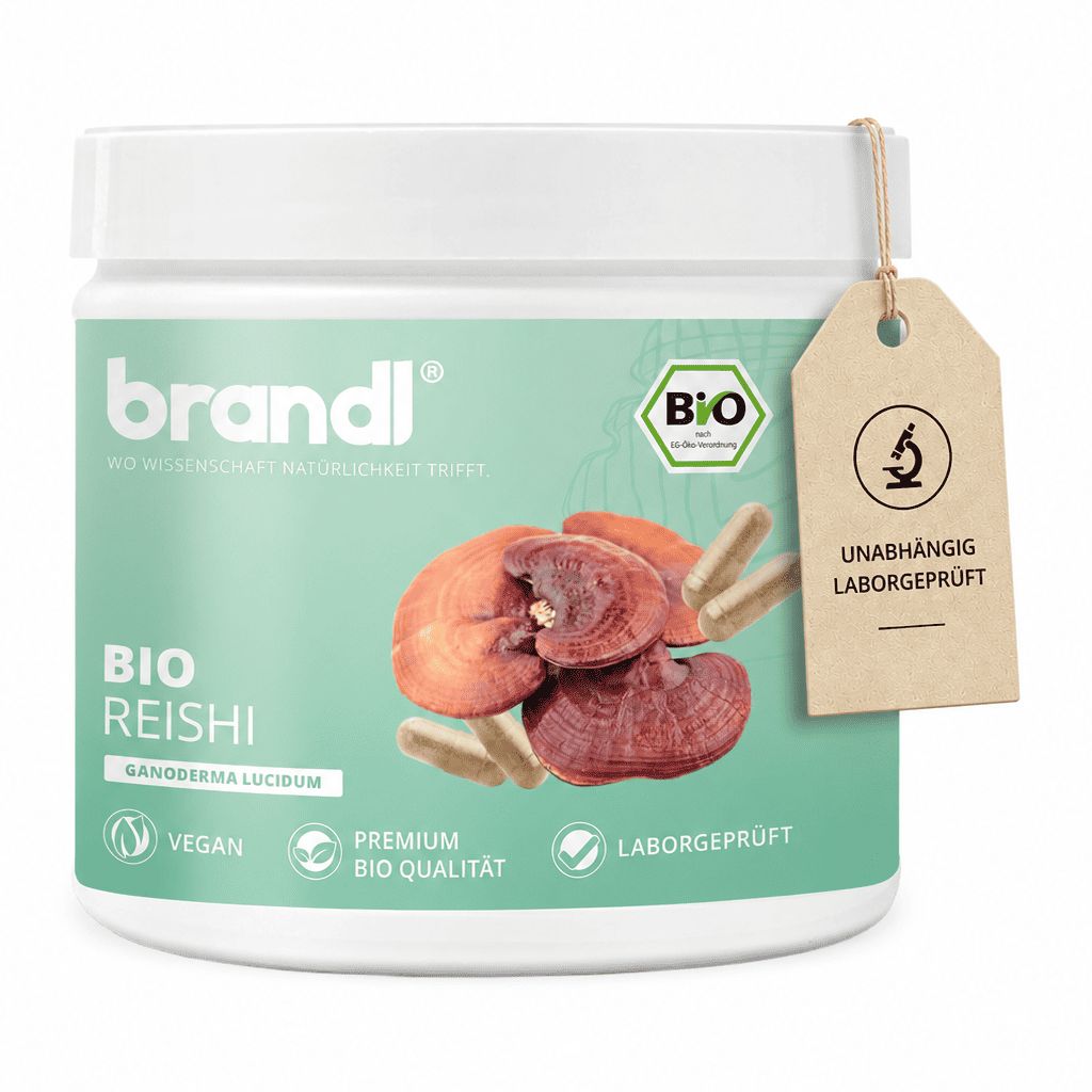 Behälter brandl® Bio Reishi Vitalpilz mit Anhänger. Text: Bio Reishi, vegan, laborgeprüft, Premium Bio Qualität. Daneben Kapseln.