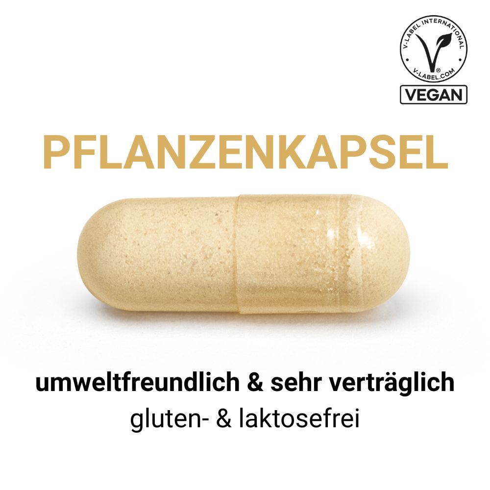 SwissOvit Vitamin C 500 mg