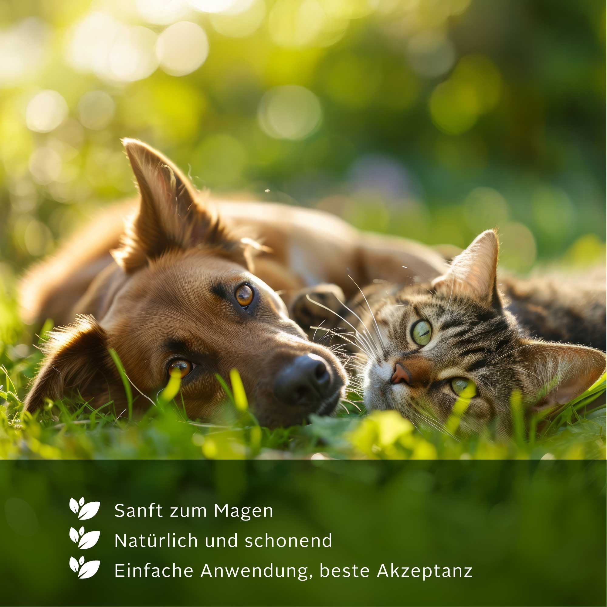 Hund und Katze liegen im Gras. Text: Sanft zum Magen, Natürlich und schonend, Einfache Anwendung, beste Akzeptanz.