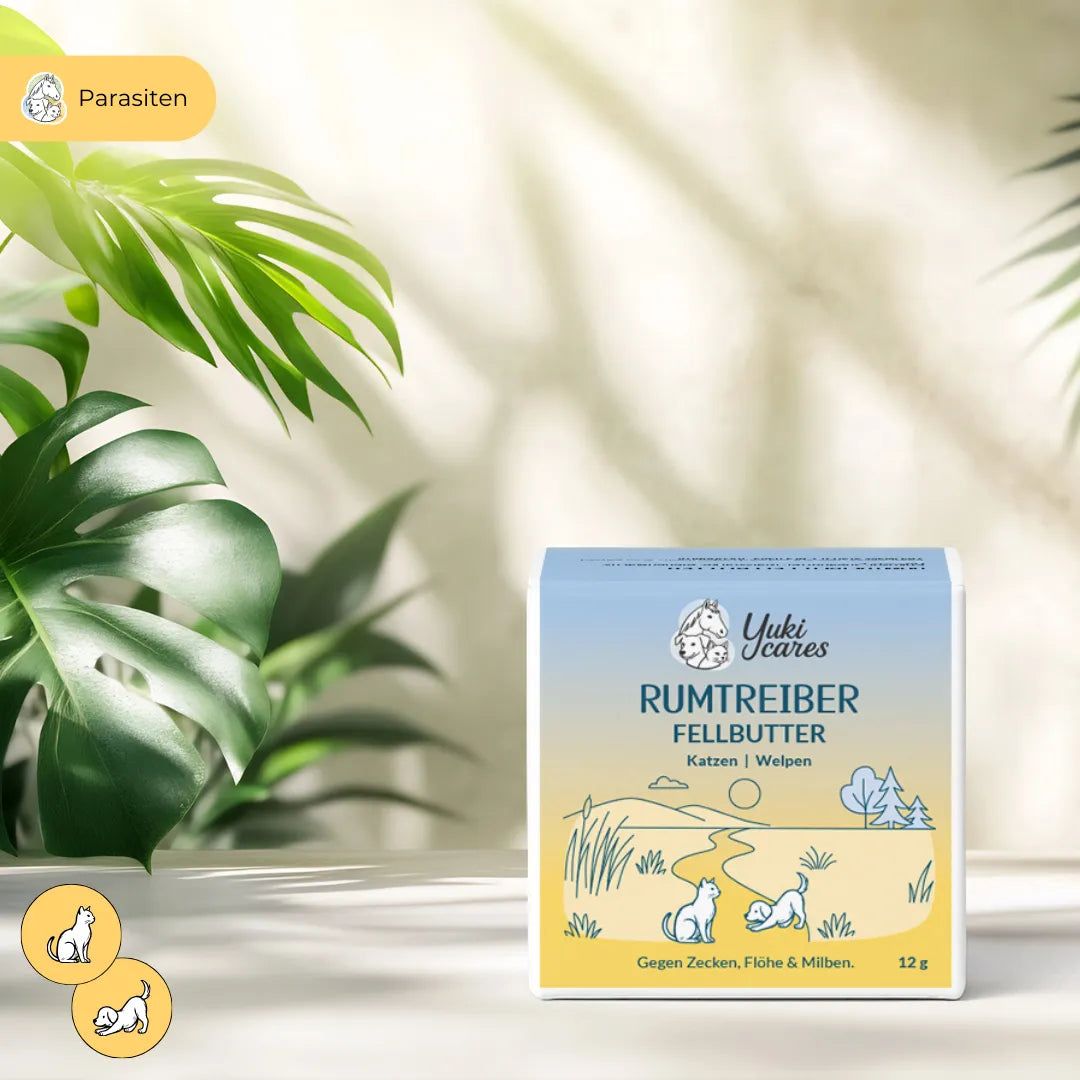 Karton mit Produktaufdruck: Yuki cares Rumtreiber Fellbutter. Text: Gegen Zecken, Flöhe & Milben. Illustrationen von Katze und Hund.