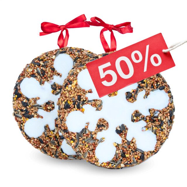 Zwei runde Vogelkuchen mit Schneeflockenmuster und roter Schleife. Ein Etikett mit 50% Rabatt.