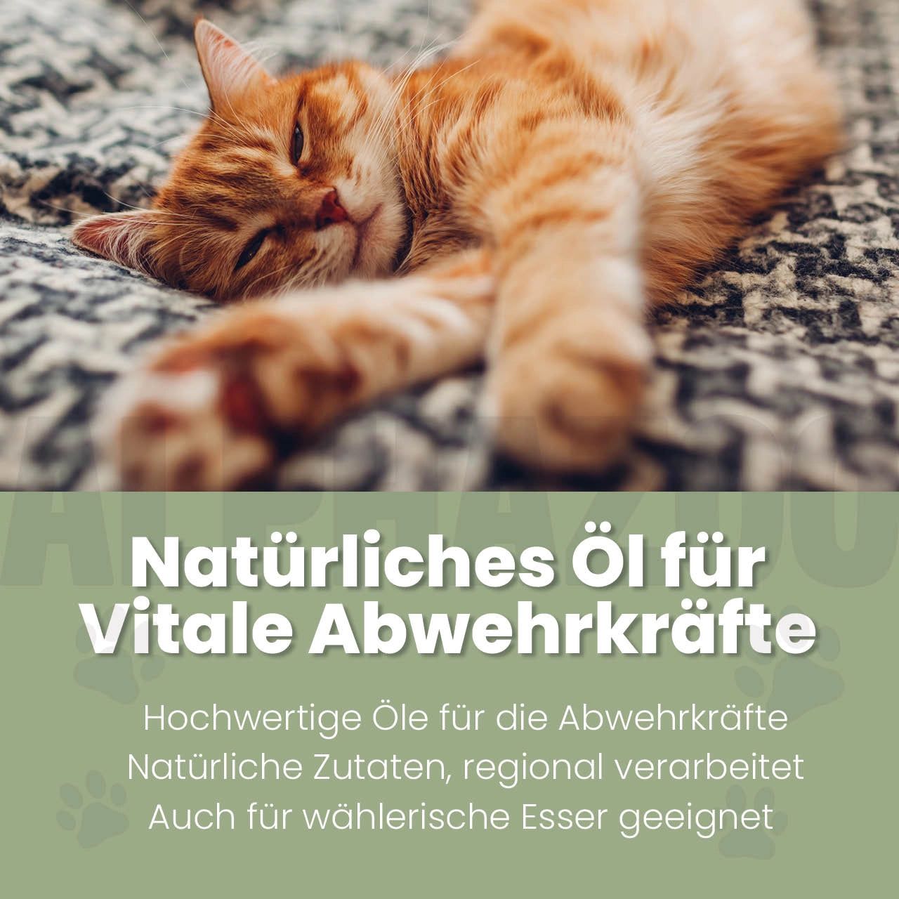 Katze liegt auf Decke. Text: Natürliches Öl für Vitale Abwehrkräfte. Hochwertige Öle, natürliche Zutaten, auch für wählerische Esser.