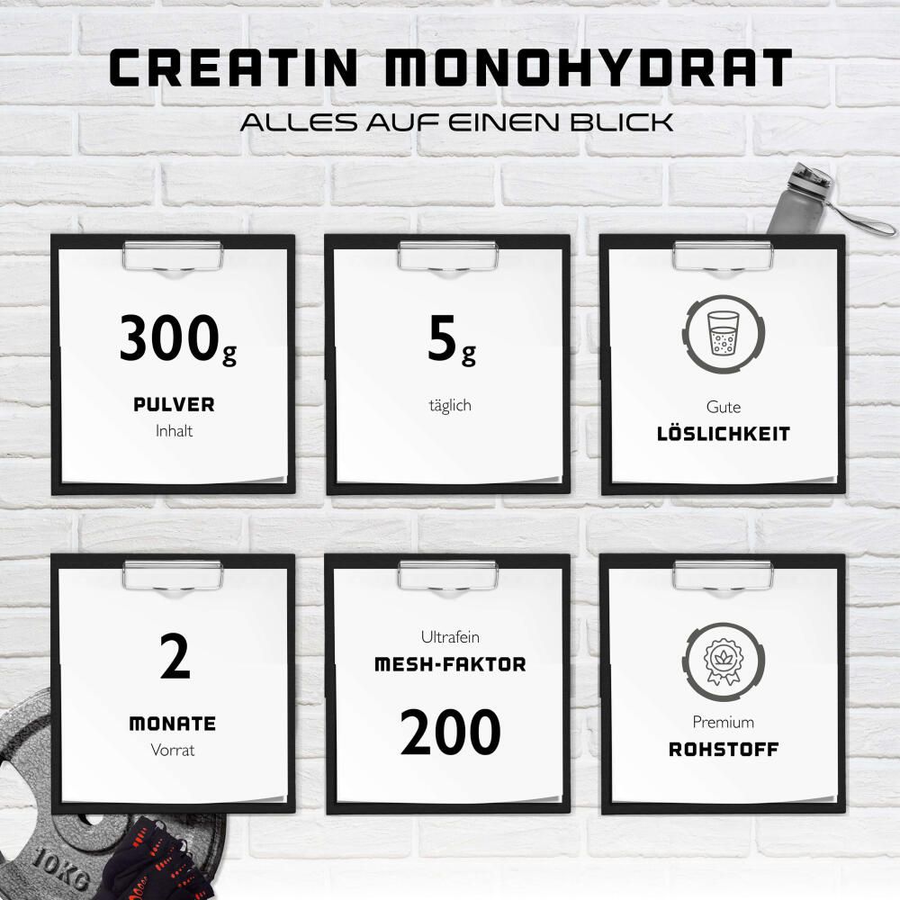 GEN Creatin Monohydrat Pulver 300 g