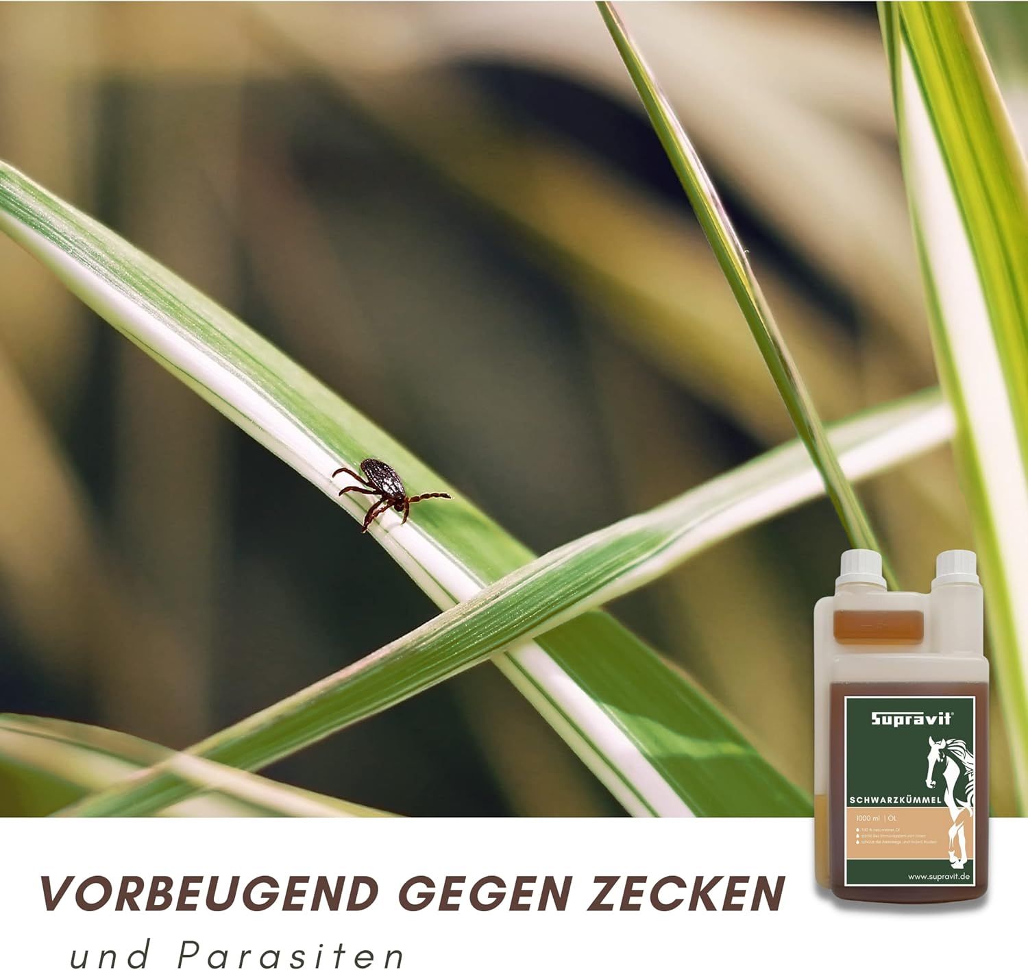Supravit Schwarzkümmelöl für Pferd & Hund – 1 l Dosierflasche | frisch kaltgepresst & 100% naturrein