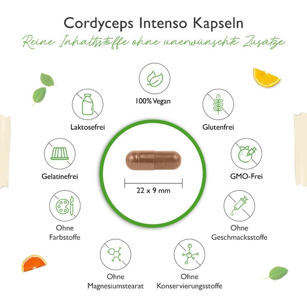 vit4ever Cordyceps Intenso 180 St Kapseln