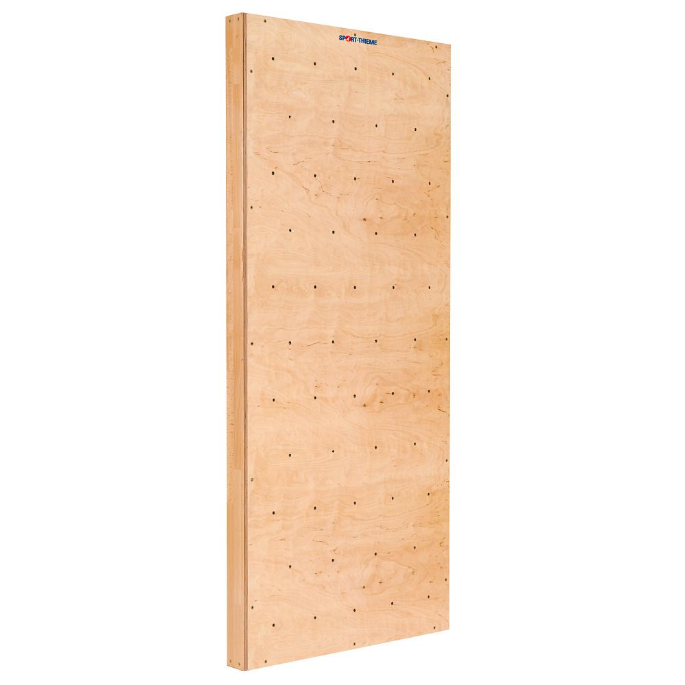 Sport-Thieme Turnwand-Einzelelement TuWa Kletterwand ohne Griffe