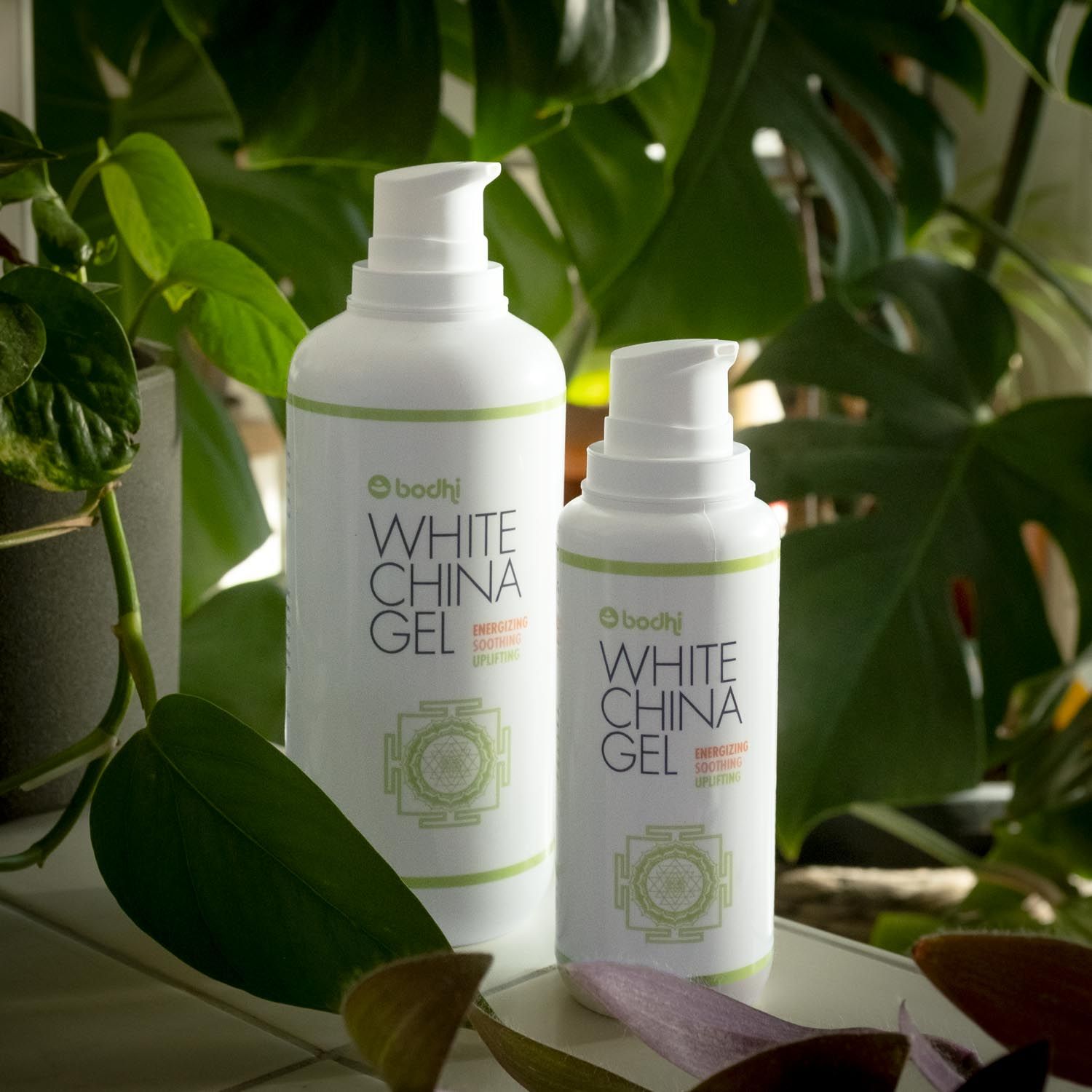 Zwei weiße Flaschen mit Pumpverschluss. Aufschrift: White China Gel, bodhi Yoga. Grün-weiße Etiketten. Vor Grünpflanzen.
