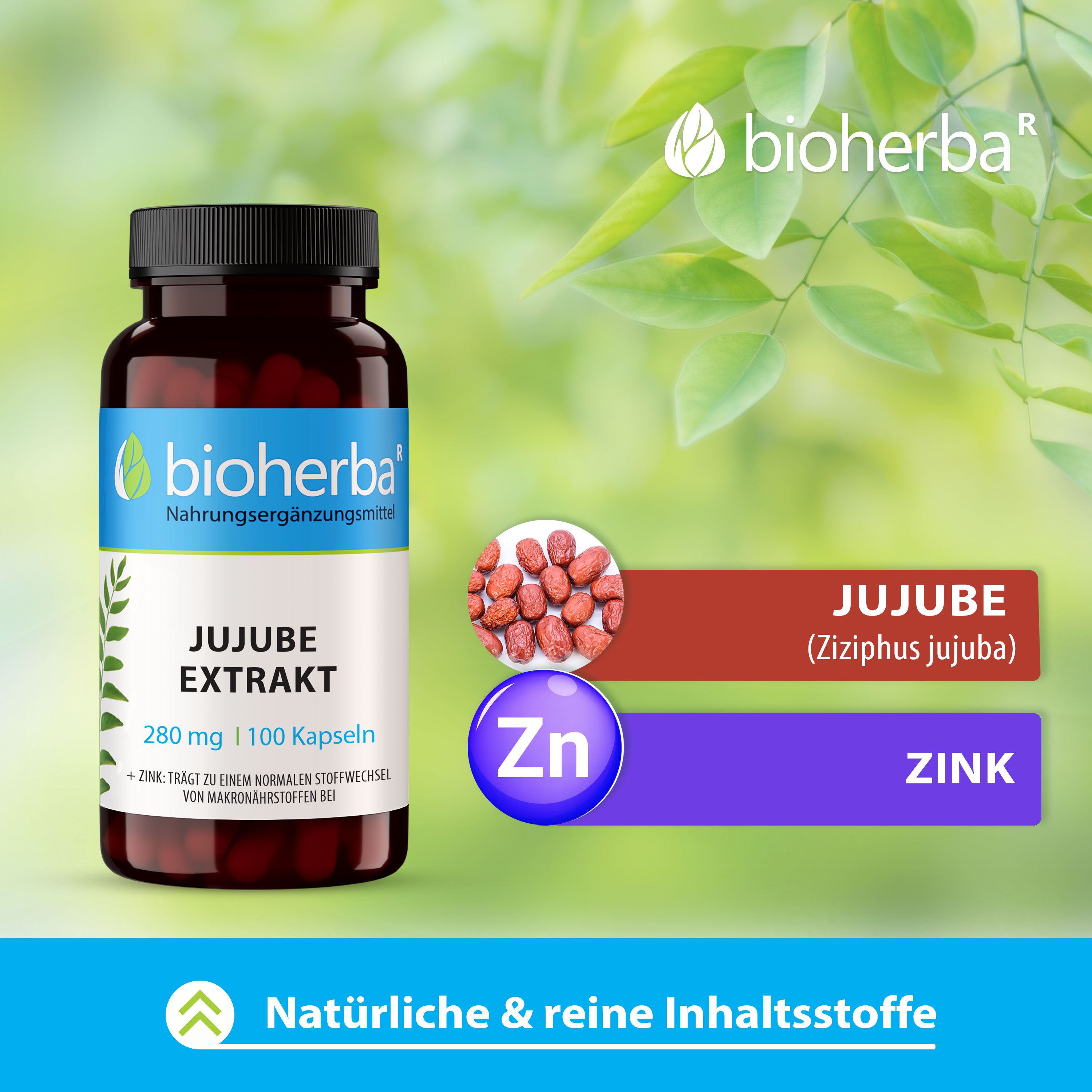 Bioherba Jujube Extrakt Kapseln