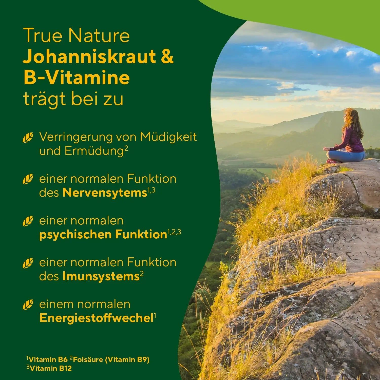 True Nature® Johanniskraut Extrakt Kapseln Mit Vitamin B6 B12