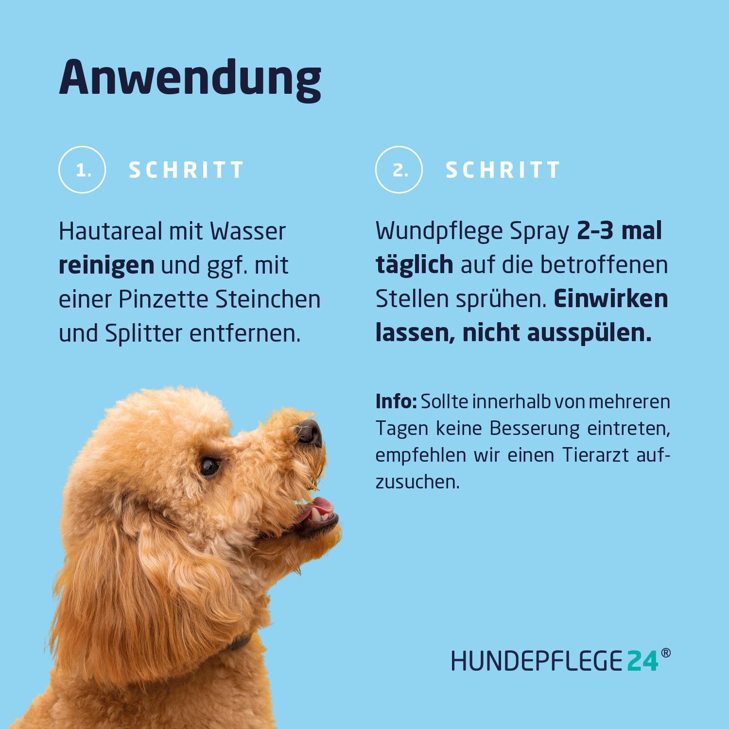 Anleitung. Schritt 1: Hautreinigung. Schritt 2: Spray auftragen. Hund im Bild.