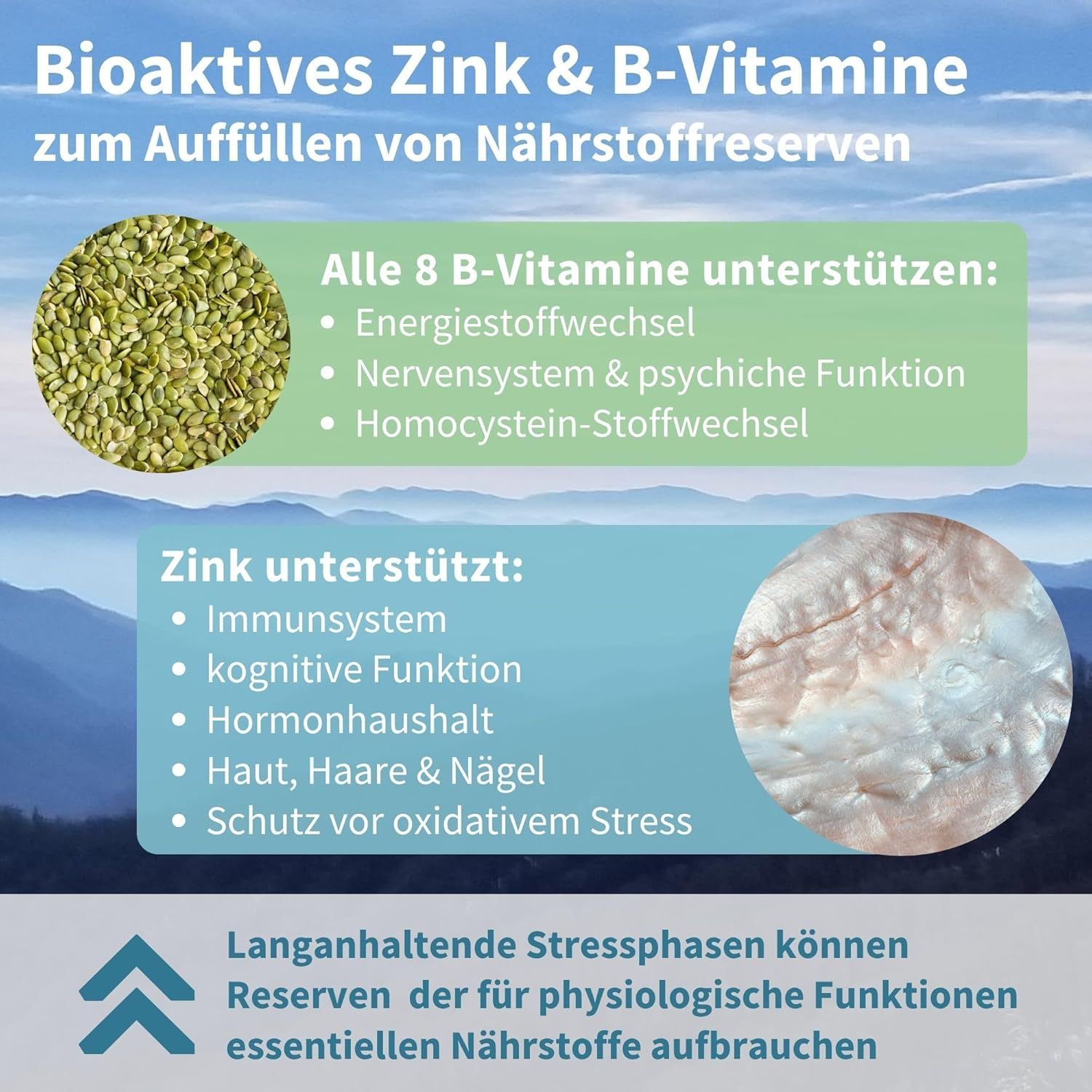 Grafik mit Symbolen für B-Vitamine und Zink zur Nährstoffauffüllung.