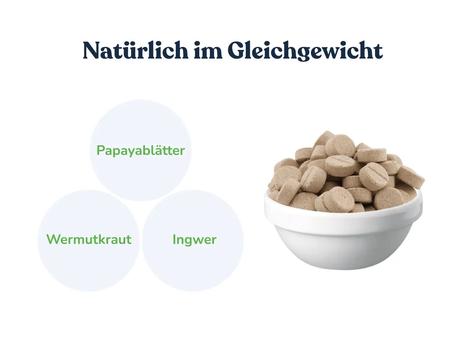 felmo KräuterVital für Hunde