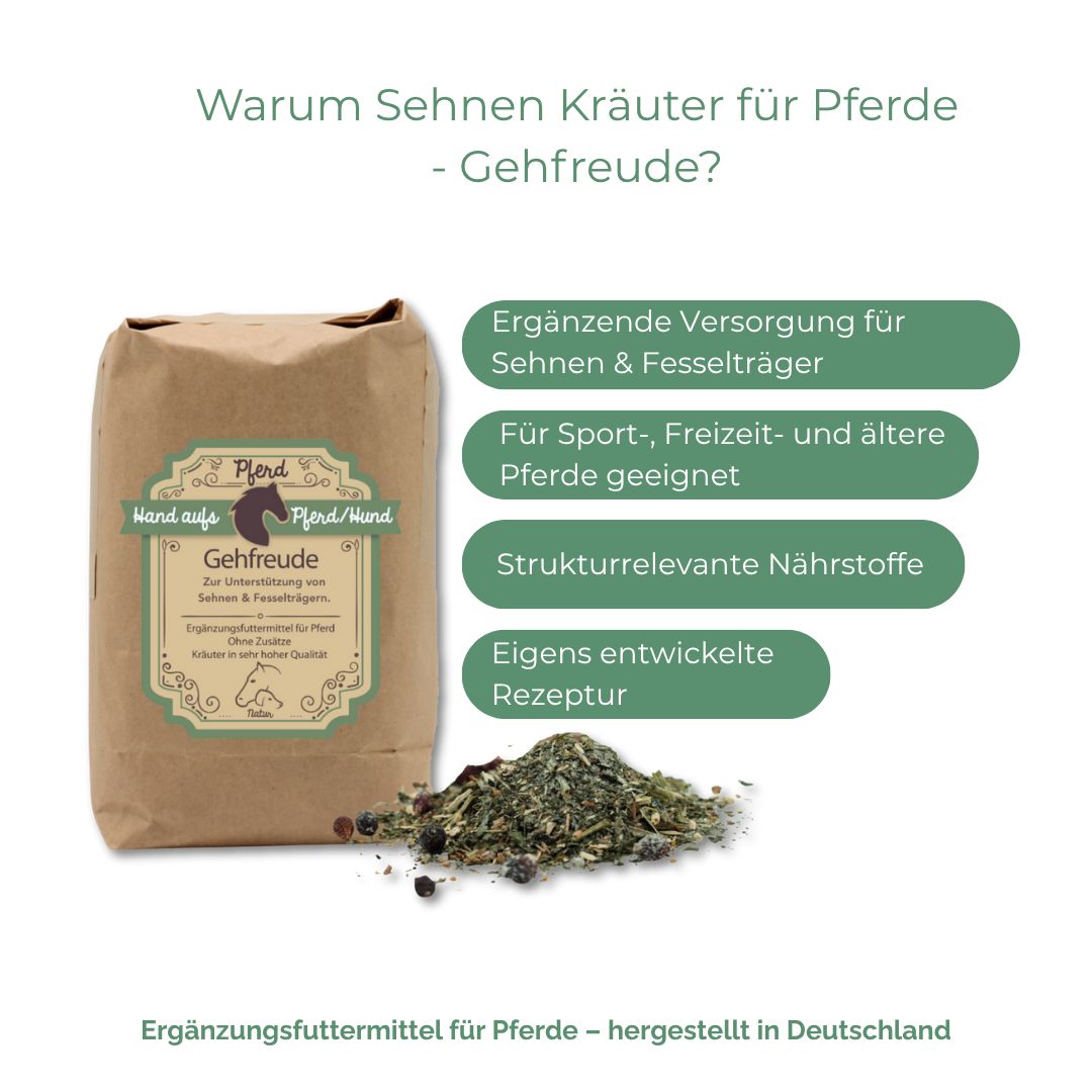 Braune Papiertüte mit Produktetikett. Text: Hand aufs Pferd/Hund, Gehfreude. Grün-weiße Textfelder mit Produktinformationen. Kräutermischung daneben.