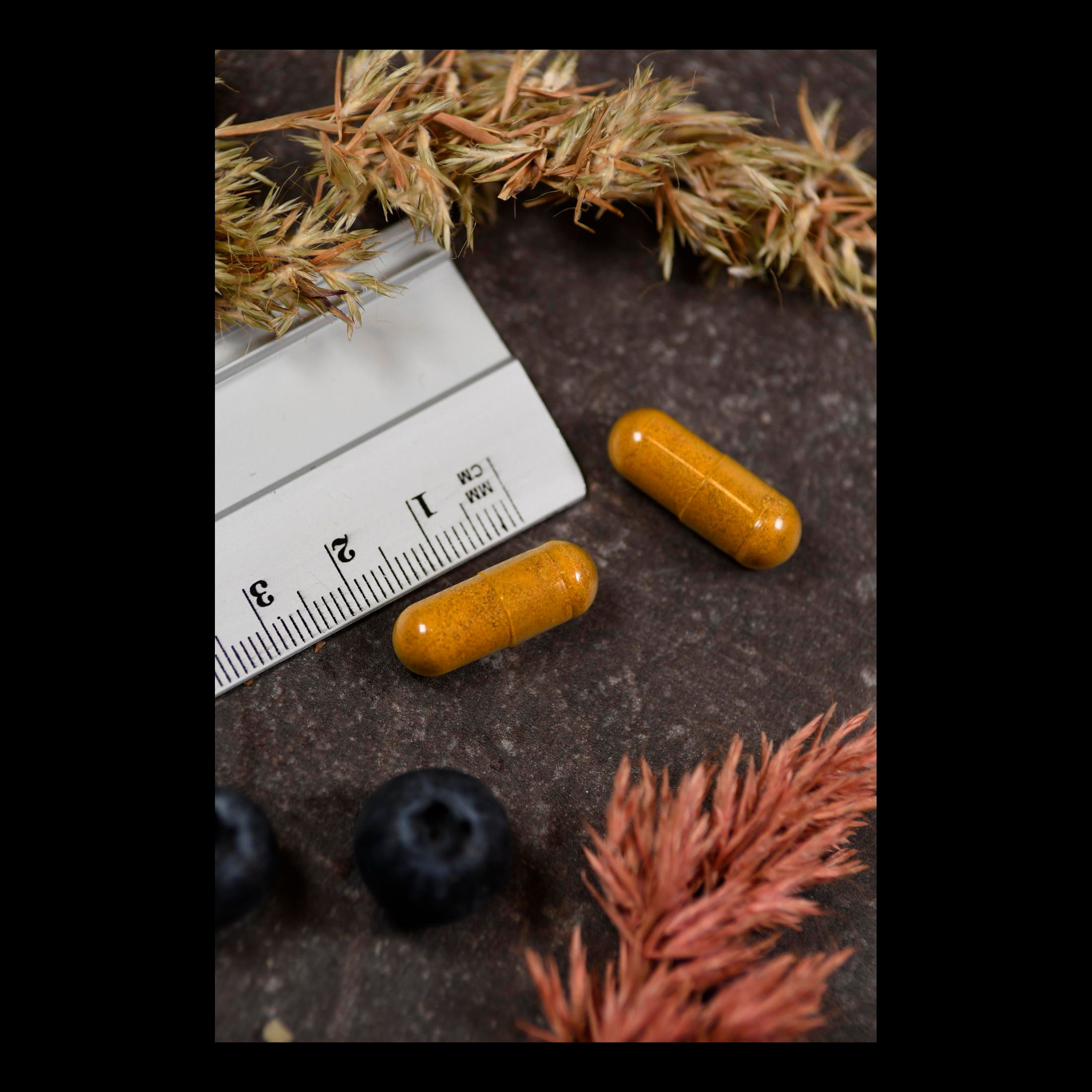 Solaray Total Cleanse Uric Acid