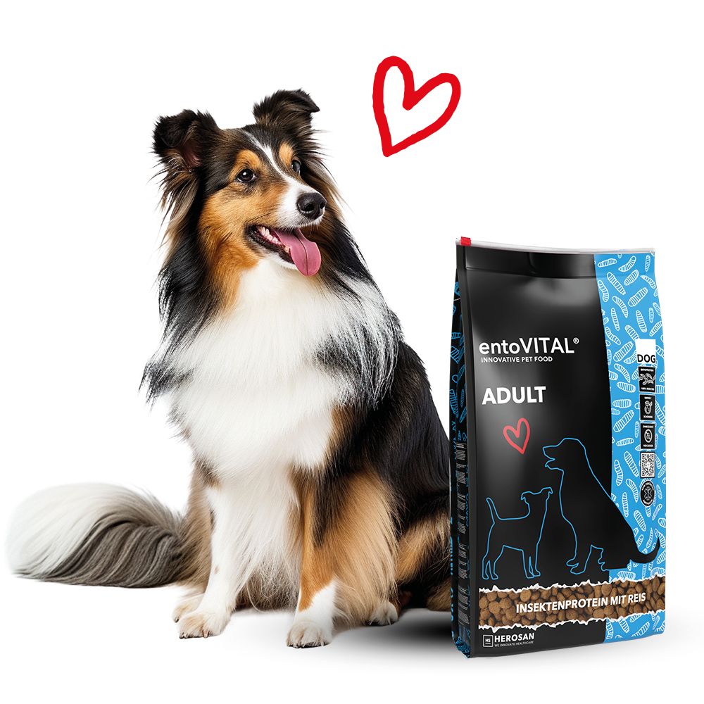 Hund sitzt neben einem Hundefutterbeutel mit Aufschrift entoVITAL ADULT. Herz-Illustration.