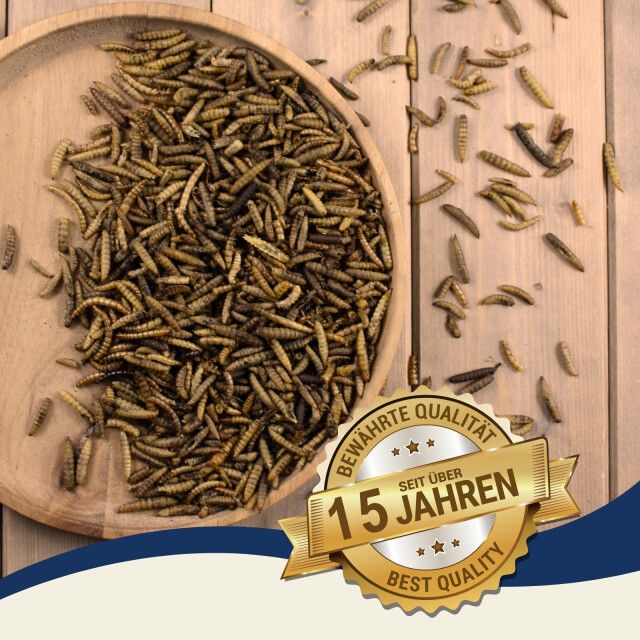 Holzschale mit Mehlwürmern auf Holzuntergrund. Goldene Plakette: Bewährte Qualität, seit über 15 Jahren, Best Quality.