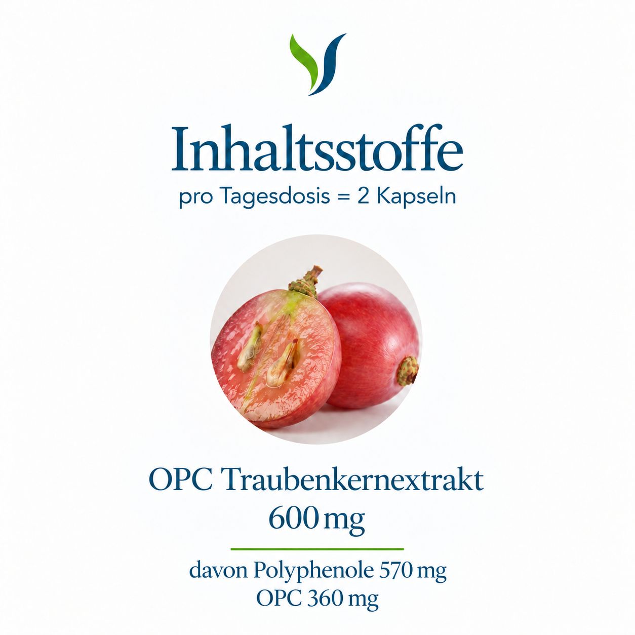 OPC Traubenkernextrakt Kapseln mit ganzen und halbierten roten Trauben.