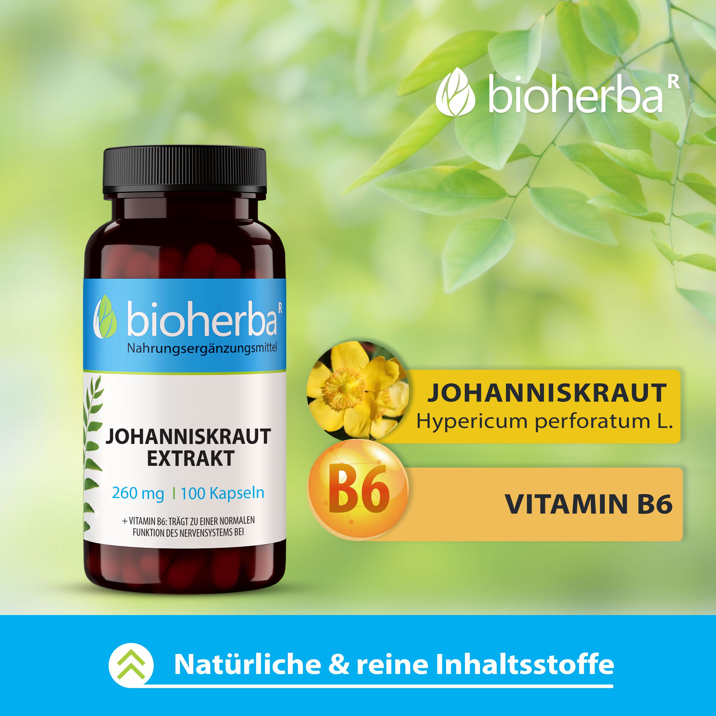 Bioherba Johanniskraut Extrakt Kapseln