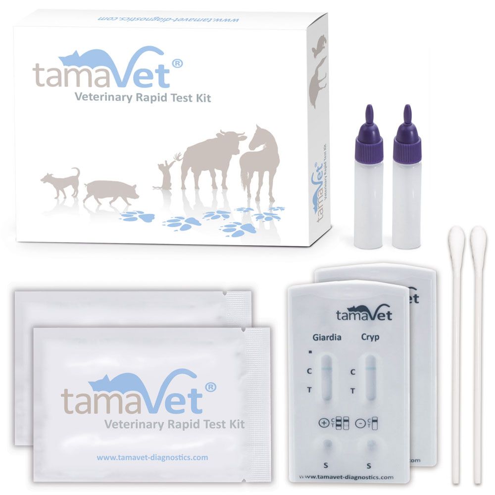 Kit de test rapide vétérinaire tamaVet pour chiens et chats, détectant Giardia et Cryptosporidium parvum. Le kit comprend des cassettes de test, des tubes d'échantillon, des écouvillons et des emballages. L'emballage affiche le logo et le nom du produit.
