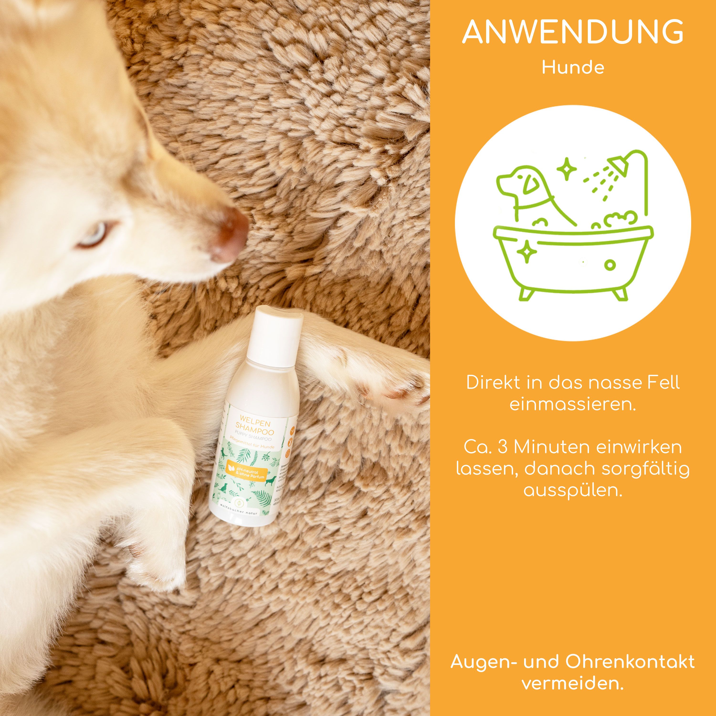 Ein Hund liegt auf einem Teppich. Daneben steht eine Flasche Welpen Shampoo. Text: Anwendung: Hunde. Direkt ins nasse Fell einmassieren.