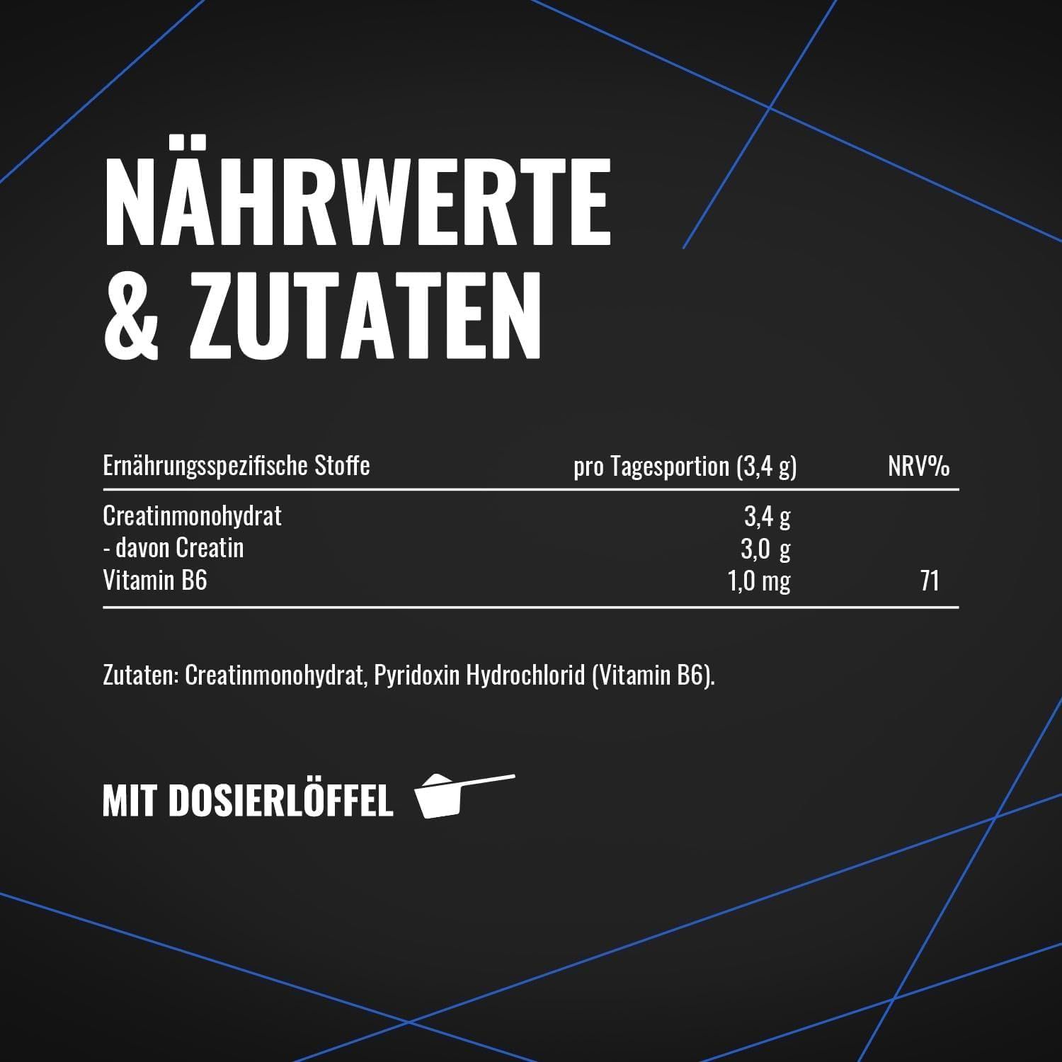 Gym Nutrition Creatin Monohydrat Pulver