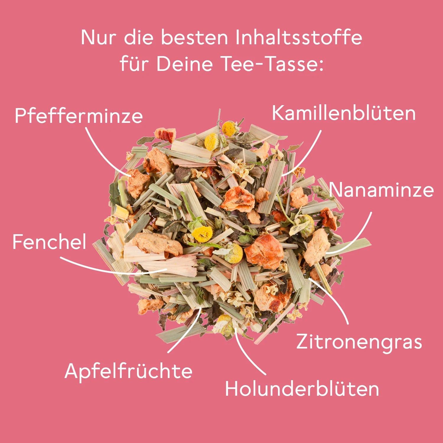 Nahaufnahme von Kräutern und Blüten. Beschriftung: Pfefferminze, Kamillenblüten, Nanaminze, Zitronengras, Holunderblüten, Apfelfrüchte, Fenchel.