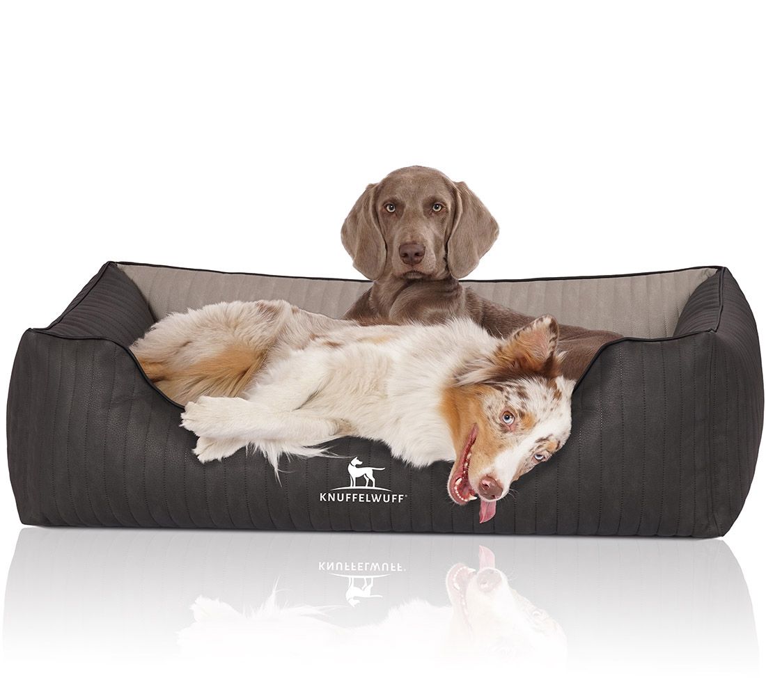 Hundebett Outback mit zwei Hunden. Ein Hund liegt, einer sitzt. Dunkelgrau mit beigem Innenraum. Logo Knuffelwuff.