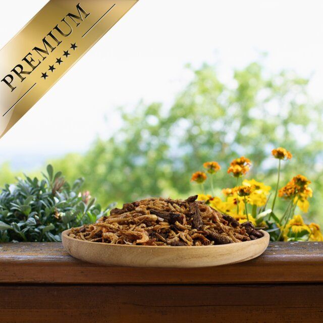 Holzschale mit Insektenmix vor einem Fenster. Premium-Banner. Hintergrund: Blumen und Bäume. Natürliche Umgebung.