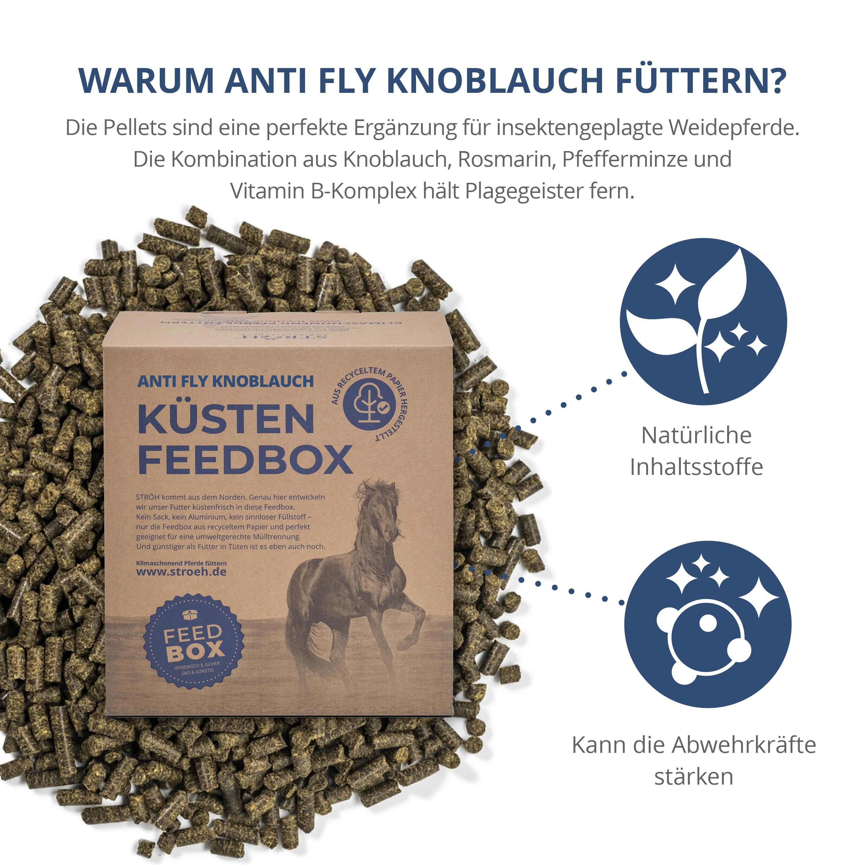 Karton "KÜSTEN FEEDBOX" mit Pellets. Text: Anti Fly Knoblauch. Abbildungen: natürliche Inhaltsstoffe, stärkt Abwehrkräfte. Mit Logo und Pferd.