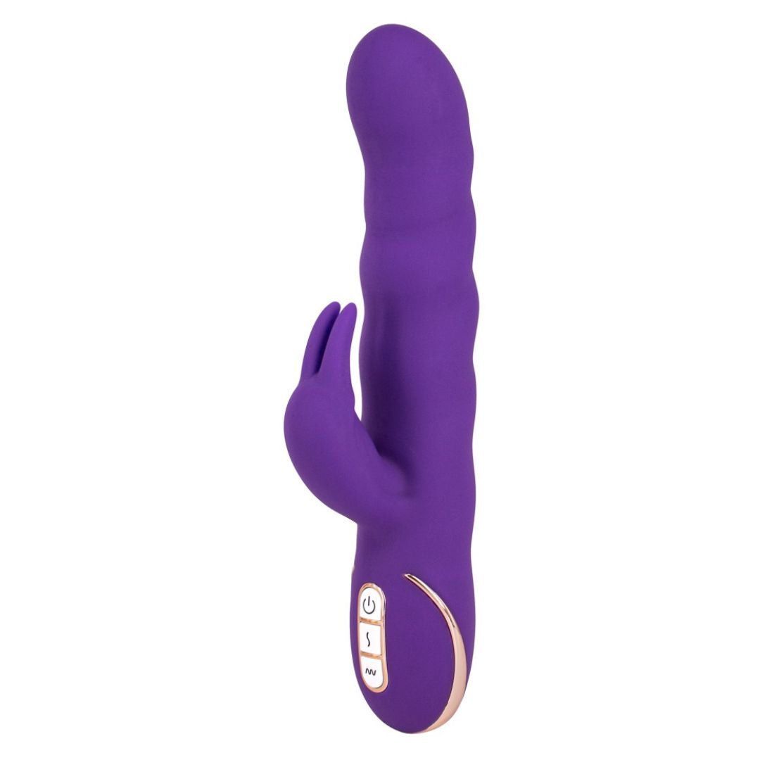 Lila Vibrator mit Kaninchenohren-Design. Mit Bedienknöpfen und goldfarbener Zierleiste.