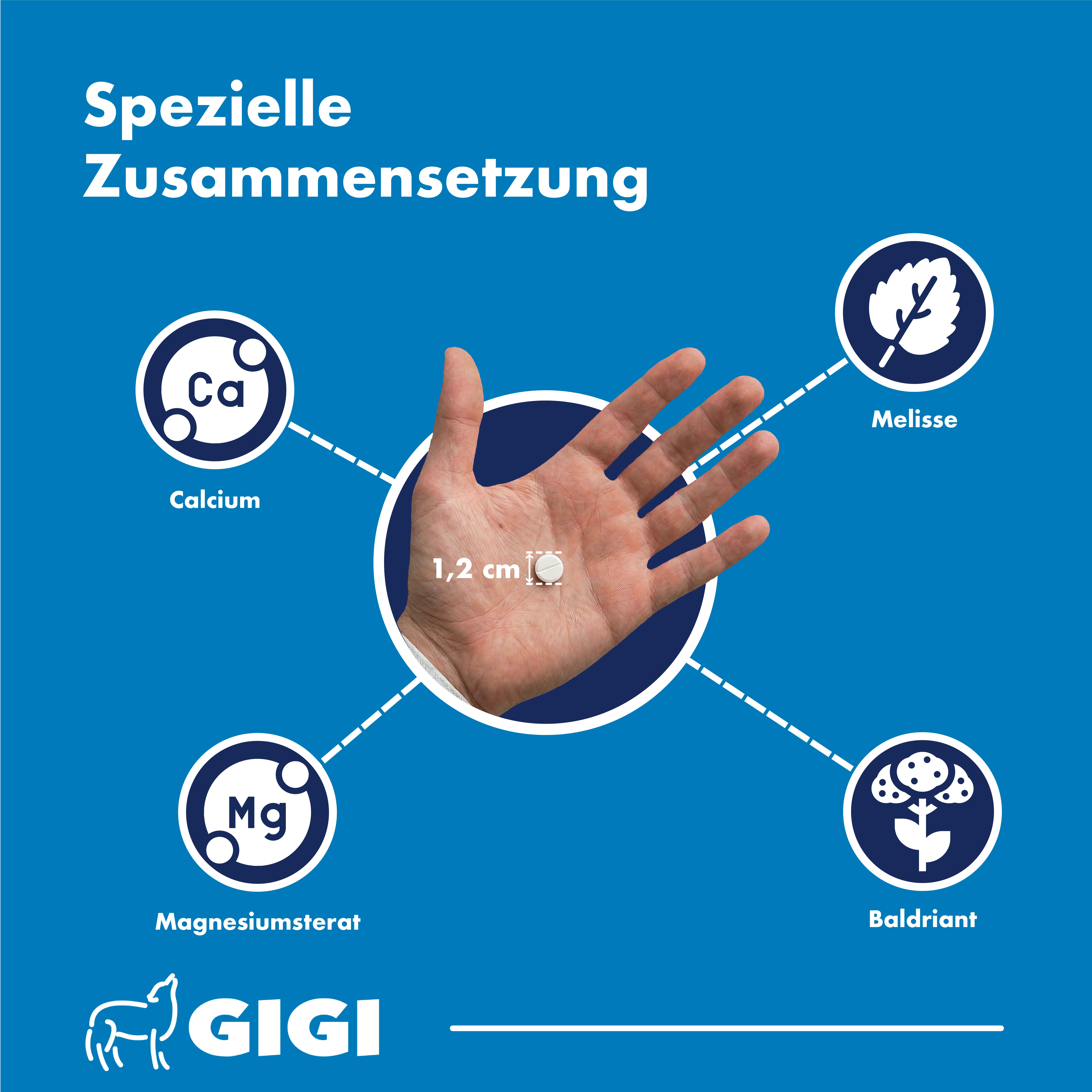 Eine Tablette von 1,2 cm Größe liegt in einer Handfläche. Sie enthält Calcium und Magnesium.