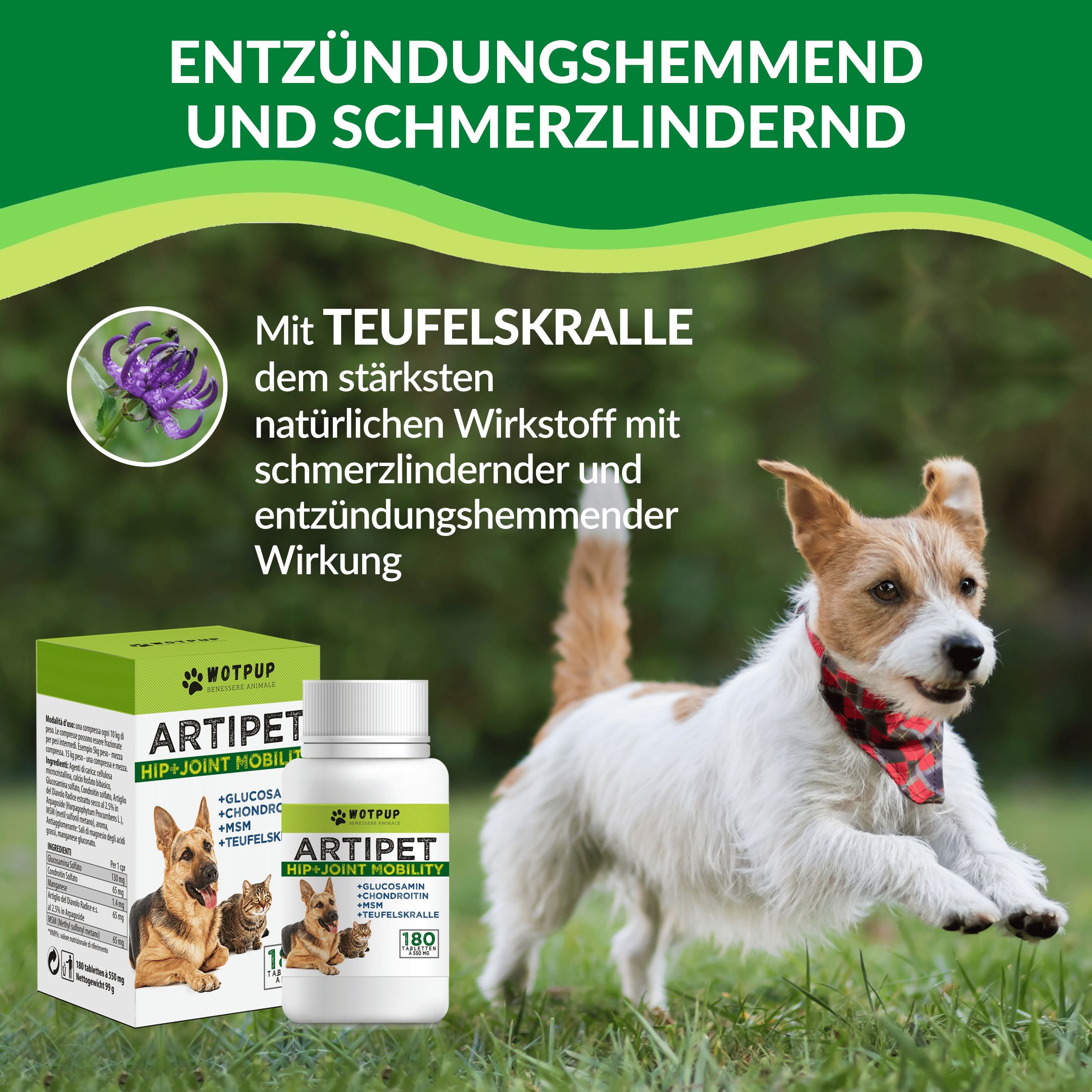 Artipet © Gelenknahrungsergänzung für Hunde und Katzen mit Glucosamin und Chondroitin
