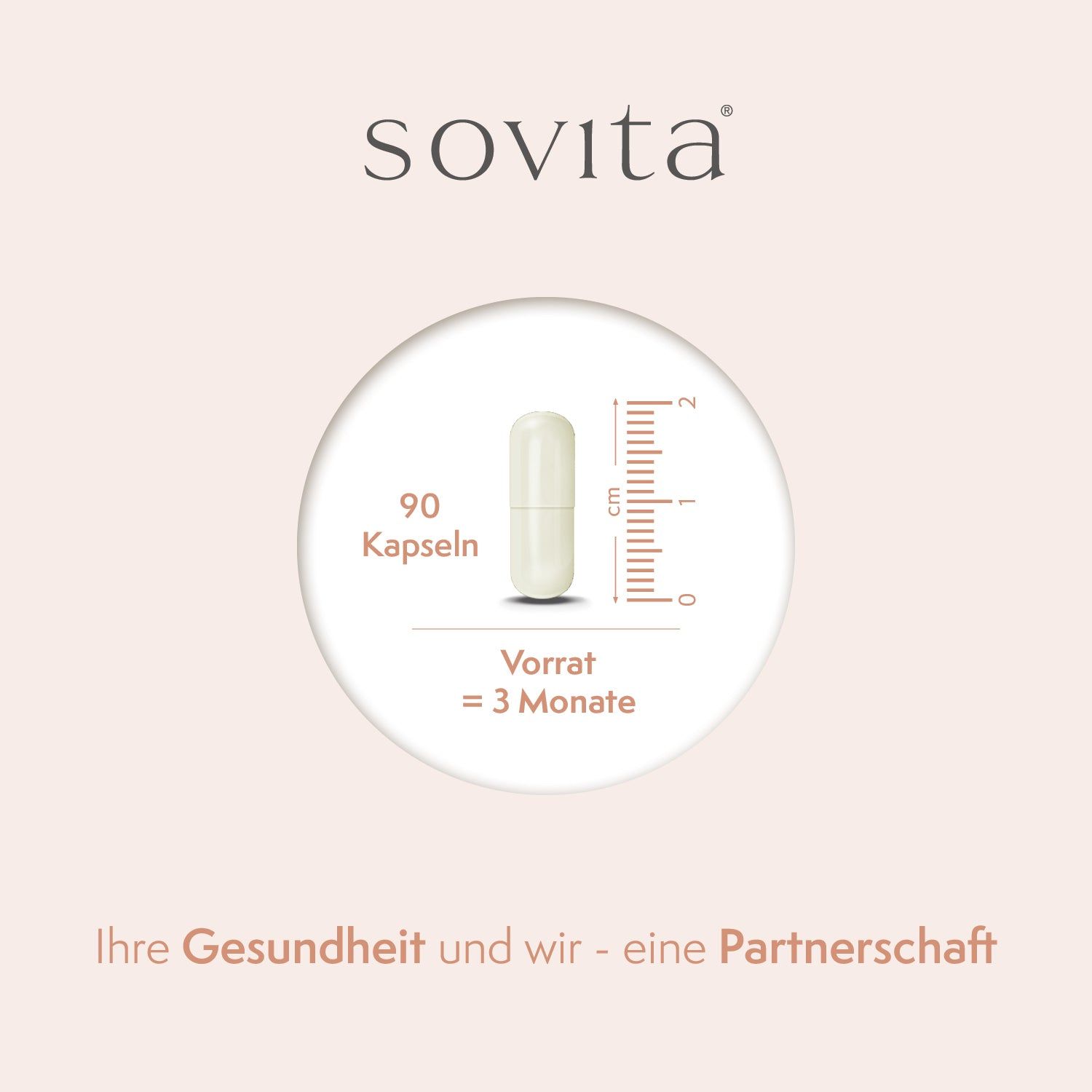 sovita L-Carnitin Kapseln