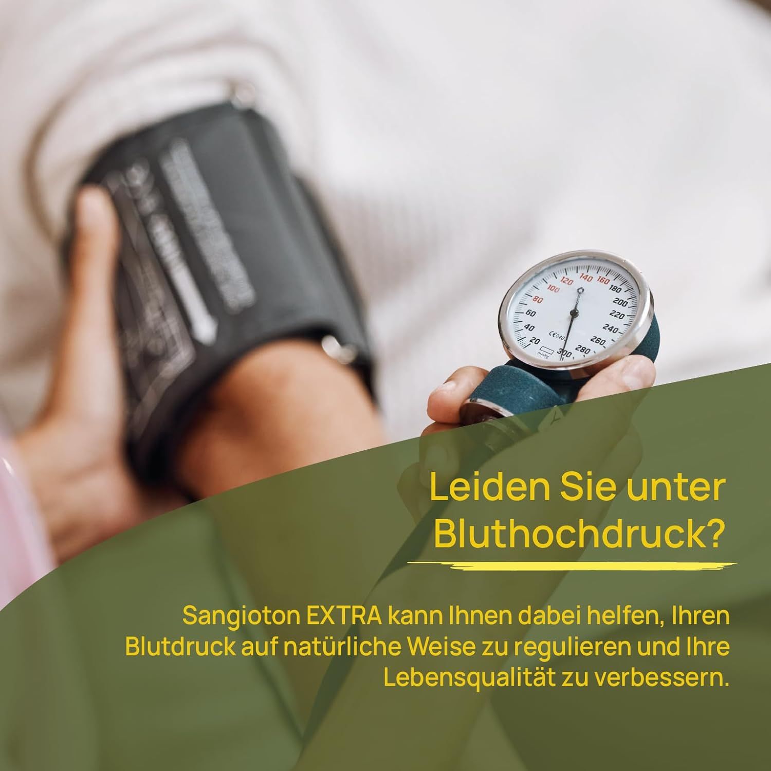 Wellpursan Sangioton Extra mit K2 vital