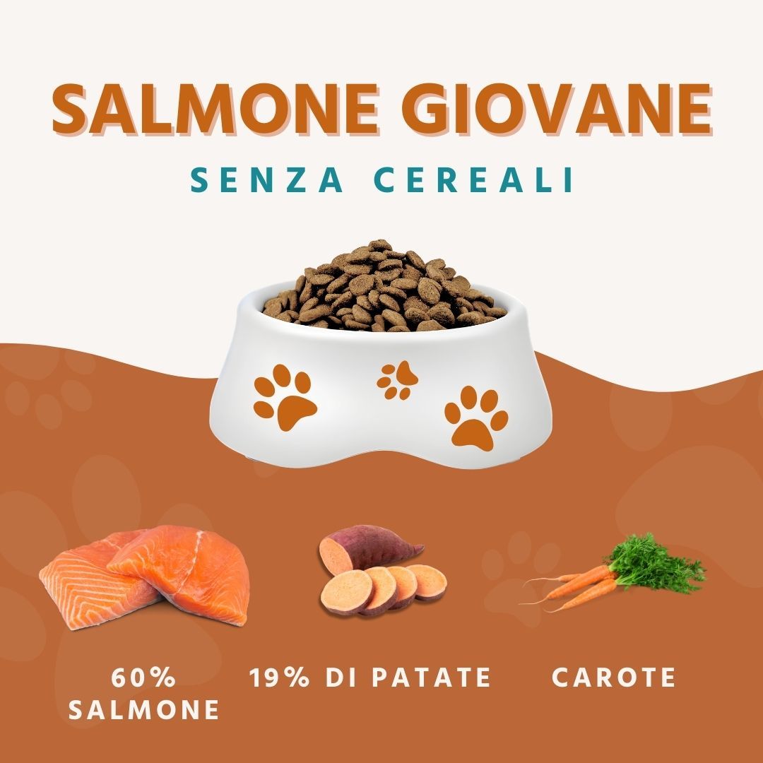 Schüssel mit Trockenfutter, Lachsfilet, Süßkartoffelscheiben und Karotten. Text: 60% Lachs, 19% Kartoffeln, Karotten.